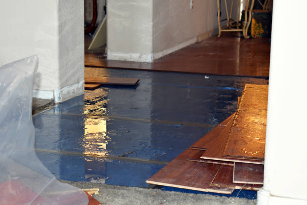 Professional Water Damage Restoration technician working in Moxee, WA